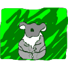 darkkoala