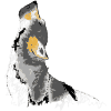 natcat14