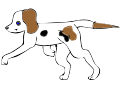 Running Beagle
