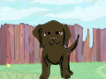 Foopets Chocolate Lab Mix
