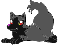 Cute Poochyena :3