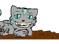 Cheshire Cat