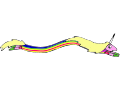 Lady Rainicorn