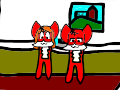 Cat's kitchen