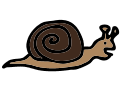 Snail