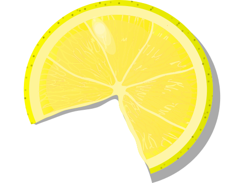 Lemon 3/4 Slice