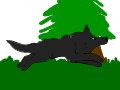 Kupa running