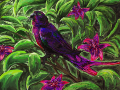 Pinky pinky birdy