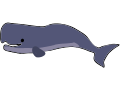 Whale Swim Cycle