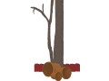 Tree in the backyard