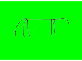 A Digging DoodlePuff
