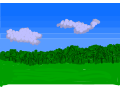 Forest/Field background