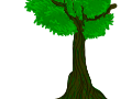 Tree Prop