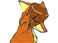Fox in The Wind