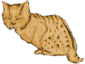 Realistic Bobcat