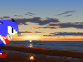 sonic in sunset