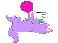 Kitty Plays With Ball