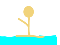the crazy gymnastic girl