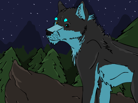 Contest Entry